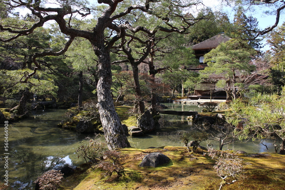 The garden of Ginkakuji temple in Kyoto, Japan