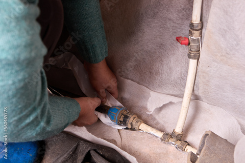 Fotografia Homeowner insulates water supply pipes on eve of winter frosts.