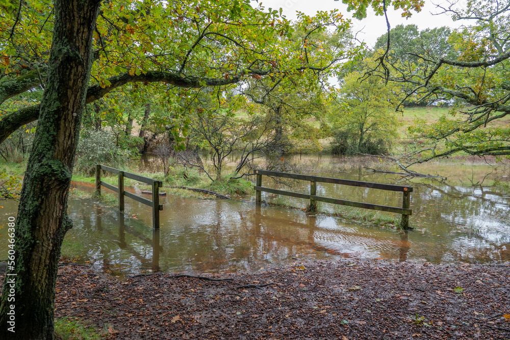flooded bridge and footpath in the River Hamble country park Hampshire England at high tide flooded bridge and footpath in the River Hamble country park Hampshire England at high tide