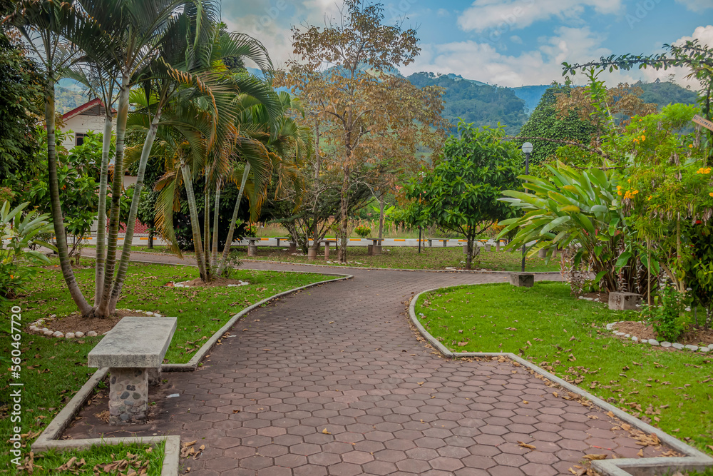 Paisaje de plaza con árboles en la selva