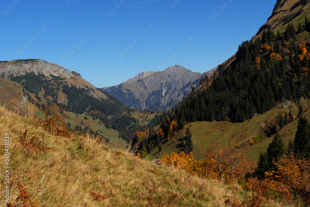 Herbst im Obertal bei Hinterstein.