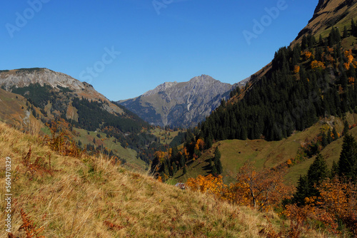 Herbst im Obertal bei Hinterstein. © Guenther