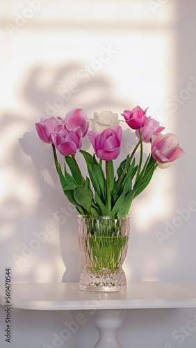 Pink tulips flowers in the vase on white background