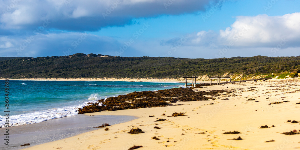 panorama of hamelin bay beach, famous beach in western australia in margaret river region panorama of hamelin bay beach, famous beach in western australia in margaret river region