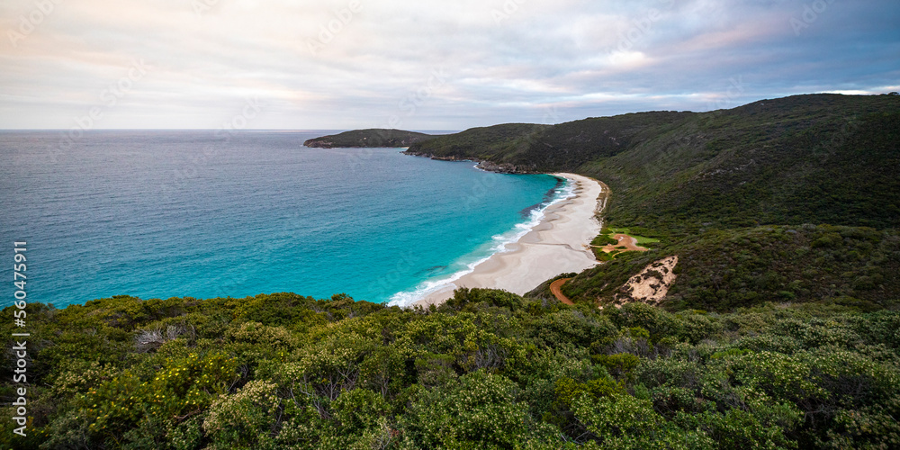 a panorama of the famous shelly beach in west cape howe national park, a unique beach near albany, western australia