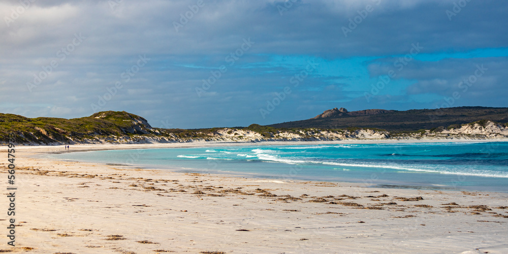 panorama of lucky bay in cape le grand national park at sunset; the famous kangaroo beach in western australia near esperance	
