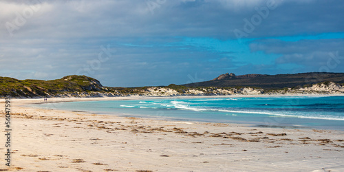 panorama of lucky bay in cape le grand national park at sunset; the famous kangaroo beach in western australia near esperance 