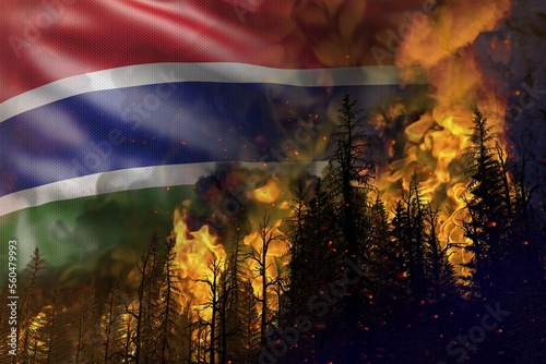 Forest fire fight concept, natural disaster - burning fire in the woods on Gambia flag background - 3D illustration of nature
