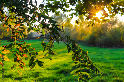 Beautiful orange golden sunset behind fields meadows forests Germany. photo