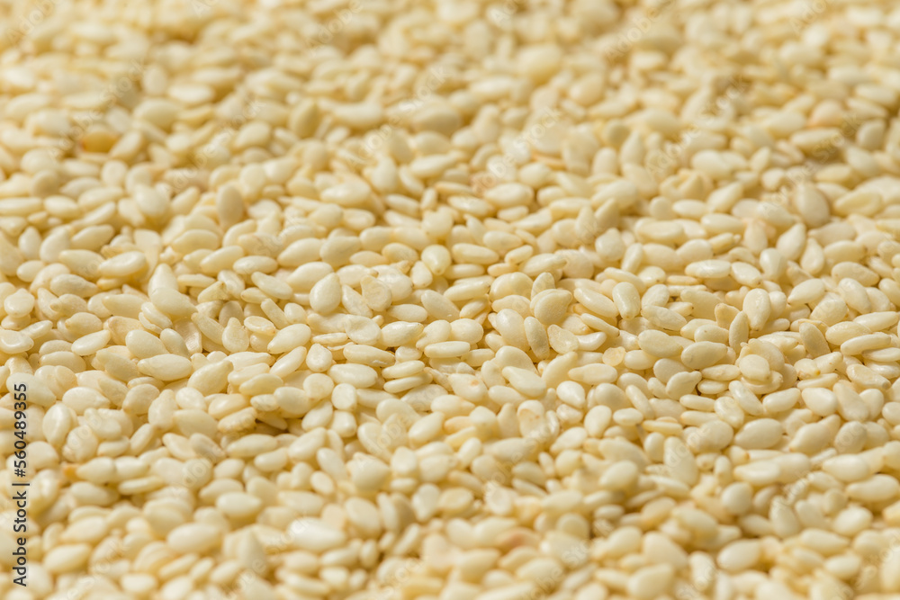 Homemade Organic White Sesame Seeds Homemade Organic White Sesame Seeds