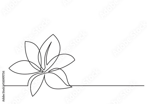 Fototapeta Naklejka Na Ścianę i Meble -  continuous line drawing flower 3 - PNG image with transparent background