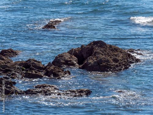 Rocks surrounded by sea. An oceanic reef. Seascape with rocks.