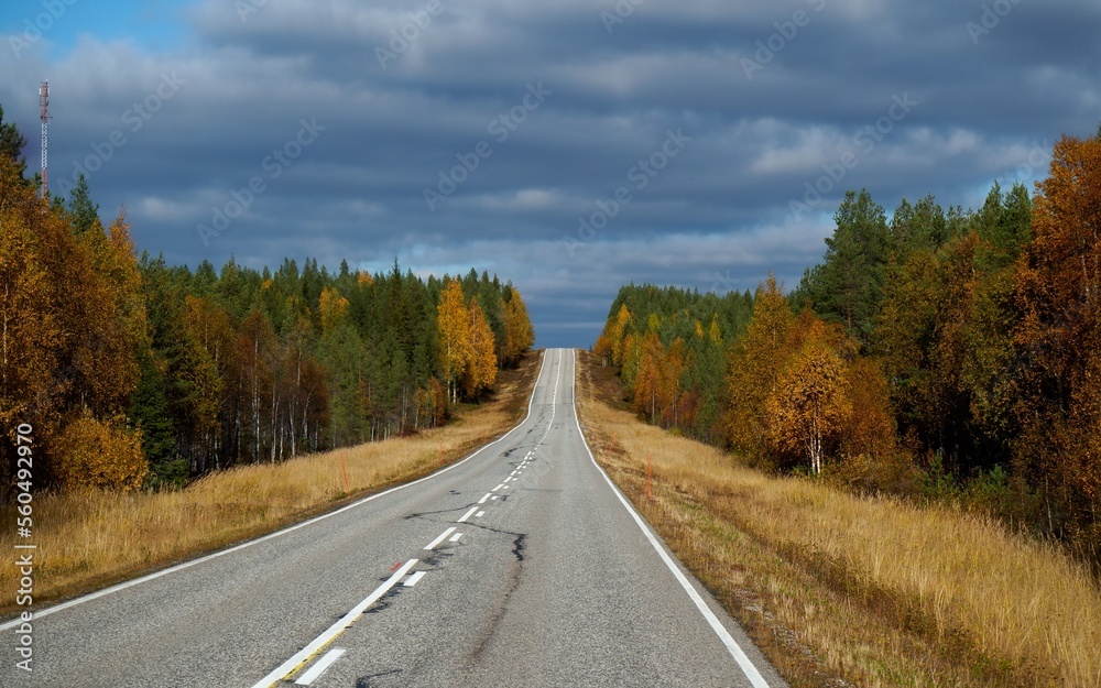 straight road through Finnish forests with dramatic sky