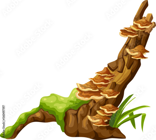 Logs, stumps in moss with fungus. Cartoon tree in lichen in swamp forest. Broken oak in tropical damp  jungle. Isolated vector element on white background.