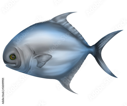 Permit fish 3d illustration transparent.