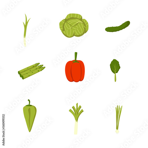 vector fresh vegetables food icon set