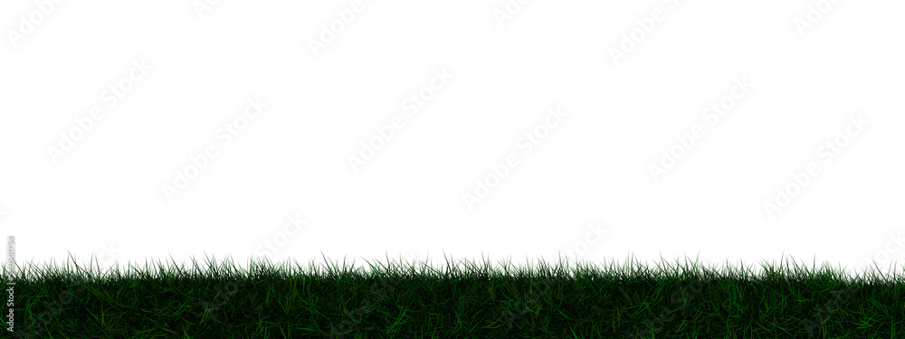 Grass transparent illustration background field Grass transparent illustration background field
