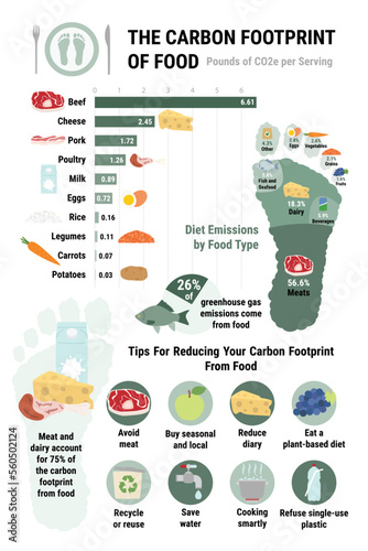 Carbon footprint of food infographic. Tips for reducing your personal carbon footprint from food.  Plant-based diet, environmental, ecology concept. True data. Flat vector illustration.
