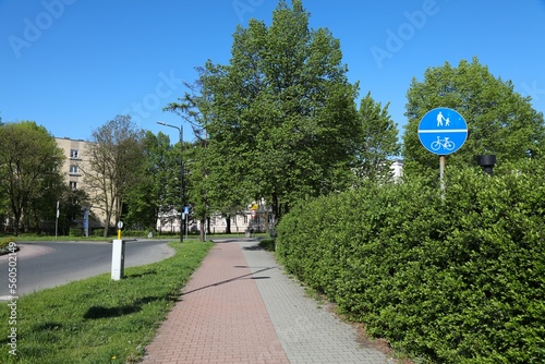 Shared pedestrian and bicycle path in Poland