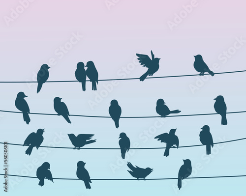 Sparrow birds flock on power line wires. Spring or autumn nature background with blackbird or sparrow birds silhouettes flying and sitting on electric cables, wildlife vector wallpaper or backdrop