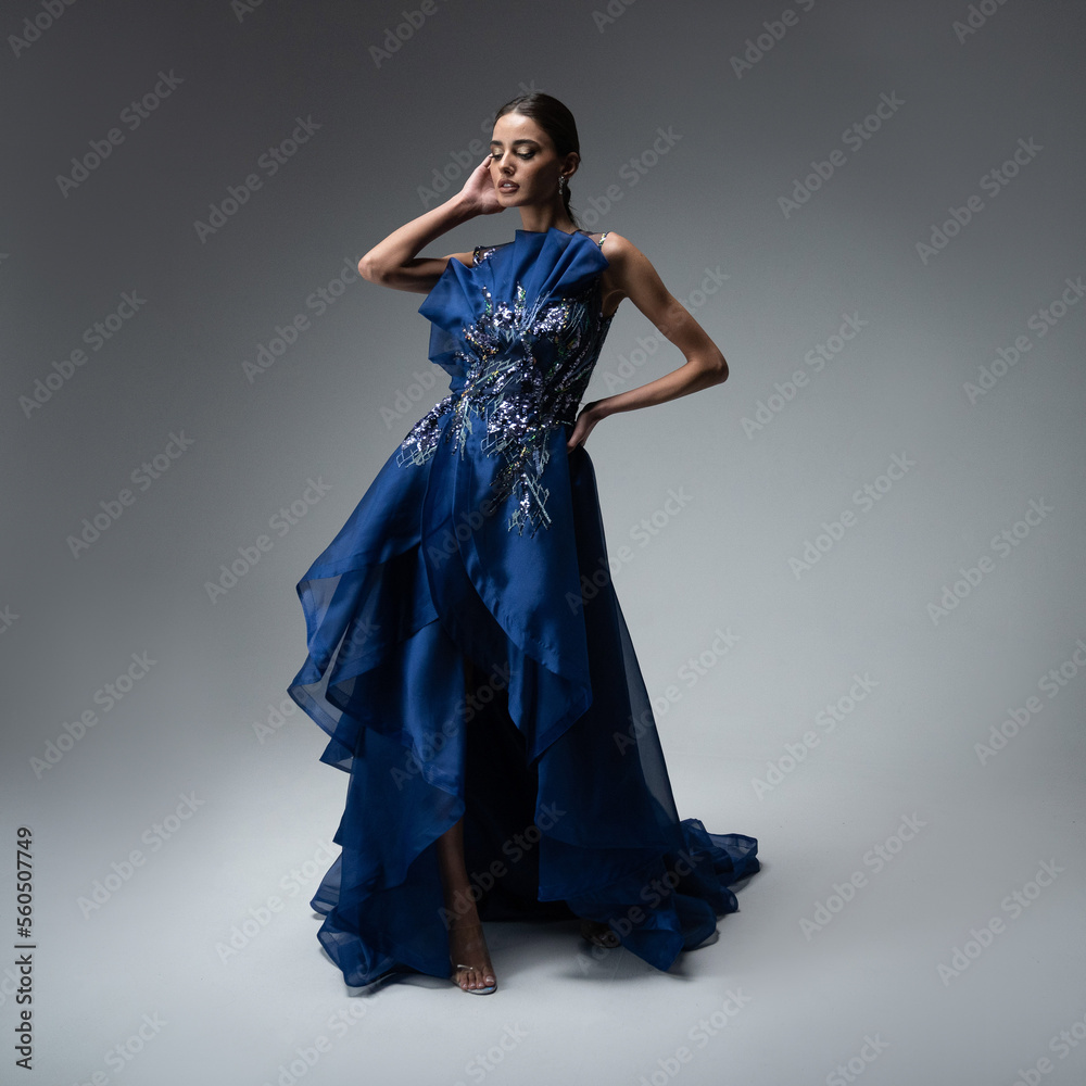 a model in an elegant evening dress dress a model in an elegant evening dress dress