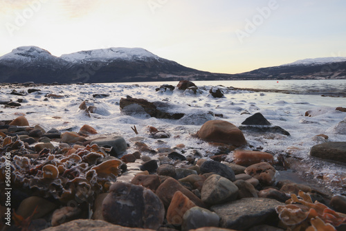 Frozen Beach in Norway Fjords