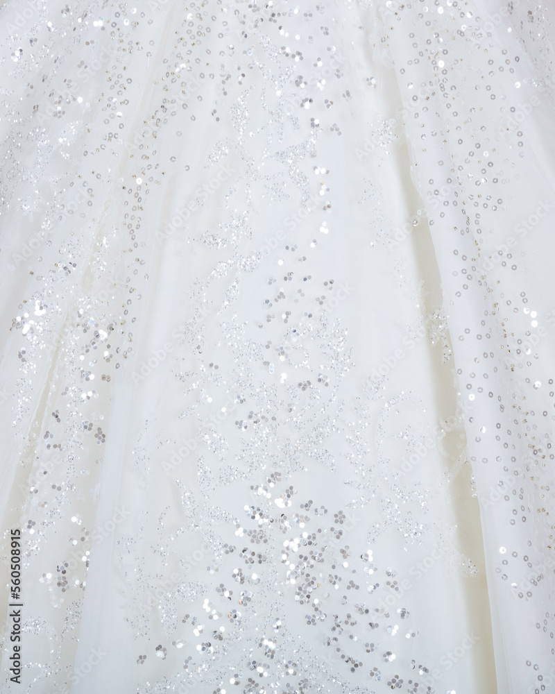 Elegant bride in a wedding dress Elegant bride in a wedding dress