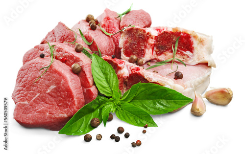 Collections fresh raw meat with spices