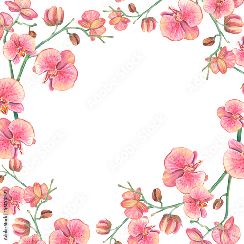 Square frame with watercolor orchid flowers. Isolated illustration on a white background of a tropical pink flower. Floral botanical illustration for background  design  pack  spa  template for text