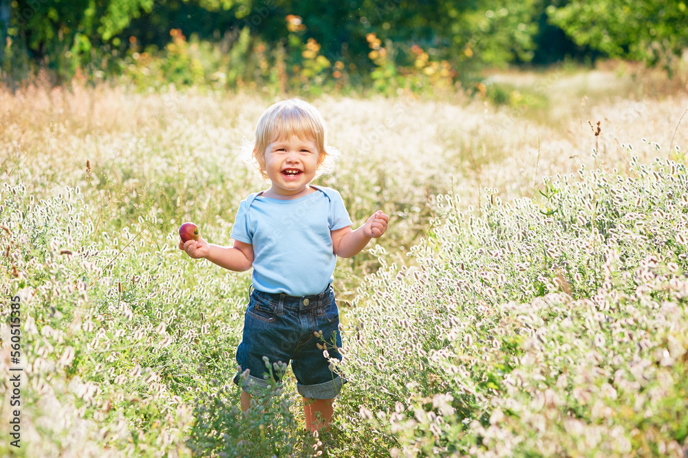 Little boy with apple plays on a green meadow.
Little boy with apple plays on a green meadow.