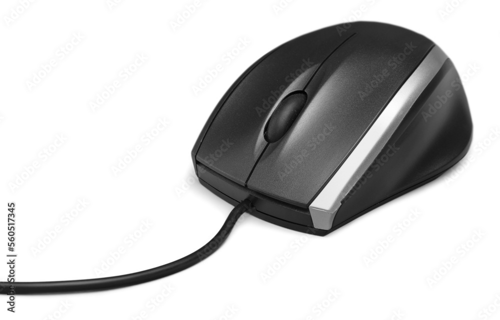 Computer Mouse Computer Mouse