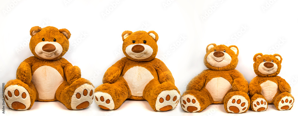 Family of soft toys bears on a white background