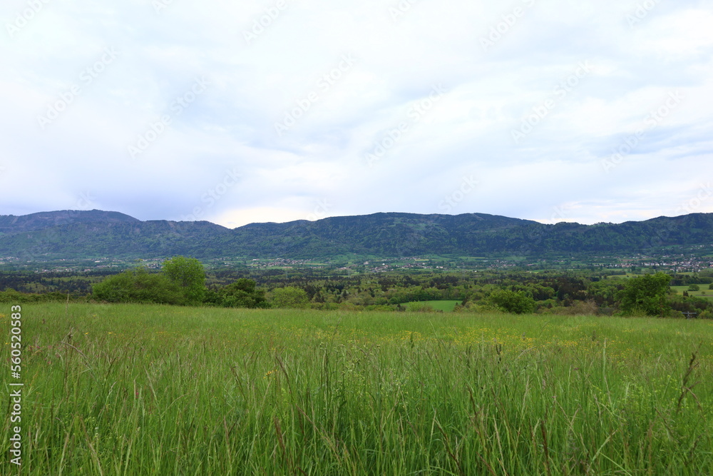 The Green Valley is a valley in the Chablais Alps, about 15 kilometres south of Thonon-les-Bains in Haute-Savoie