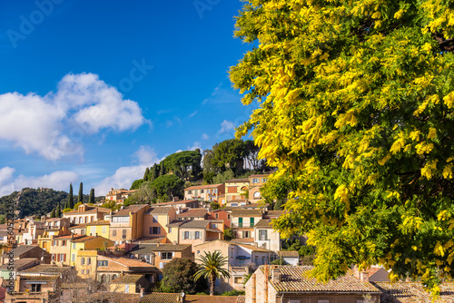 Photo Scenic view of the small village of Bormes le Mimosas in south of France with ye