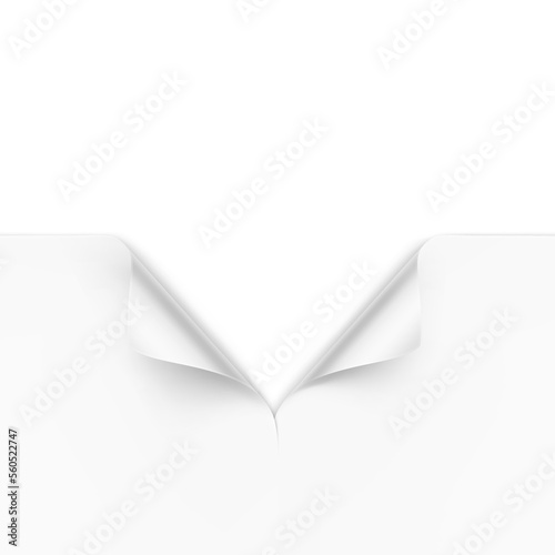 A cut and curled piece of paper. Great for displaying a hidden image. Vector illustration isolated on white background. Front view. Can be use for template your design, presentation, promo, ad. EPS10.