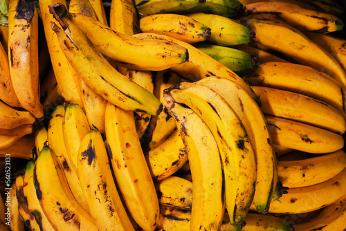 Top view of yellow ripe plantain bunch photo