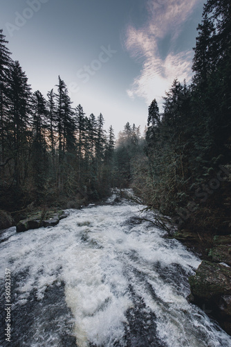 Lacamas Creek flowing through foggy morning Pacific Northwest forest landscape, Washington State photo