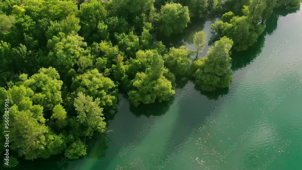Aerial view of water reservoir with green trees Aerial view of water reservoir with green trees