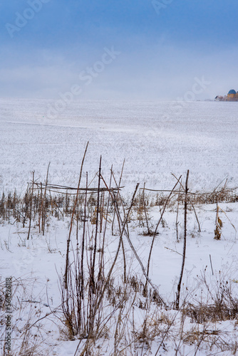 dry grass near a homemade fence and a snowy field in winter. the rest period of the field before agricultural works