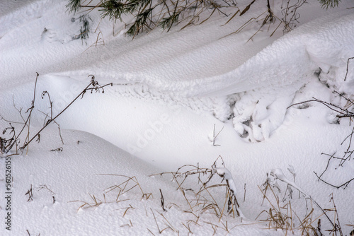 texture and volume of snowdrifts and plants covered with snow