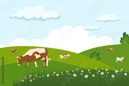 Landscape with grazing cows and a detailed drawing of a cow in the foreground. View of rural scene with green grass and daisies in the hills and fields. Farm herd of brown cows in a spring meadow