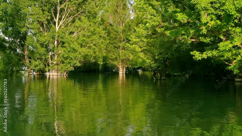 Aerial slow motion view of water reservoir with green trees Aerial slow motion view of water reservoir with green trees