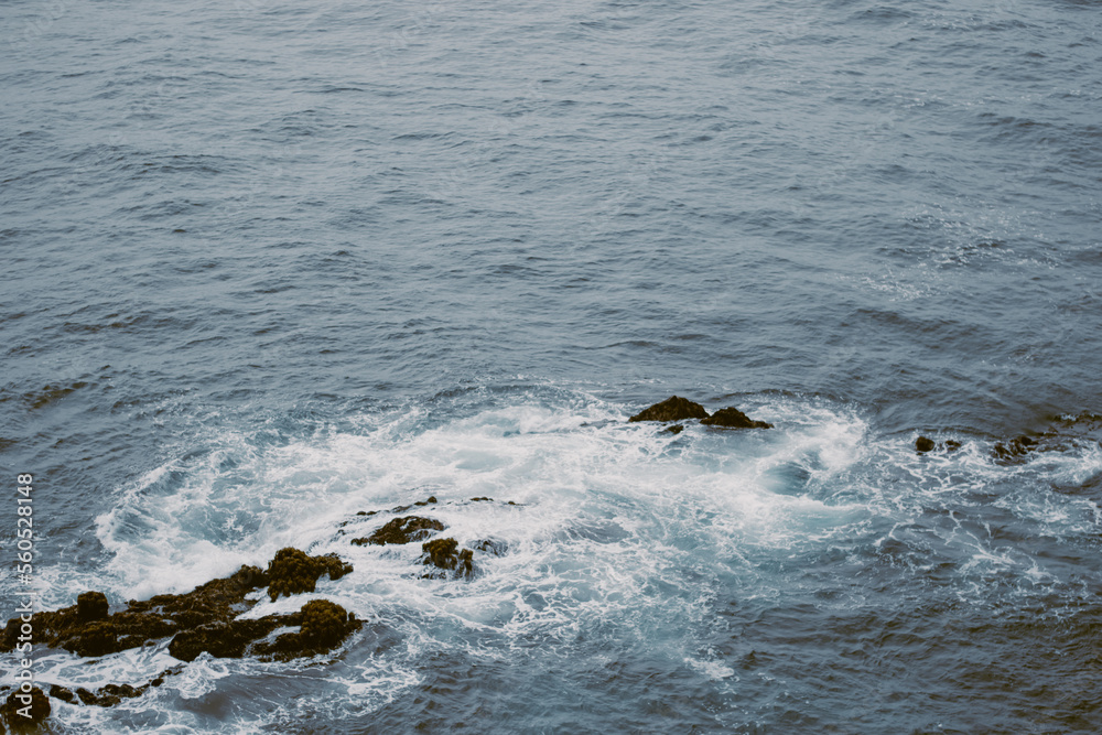 Fototapeta premium waves on the beach