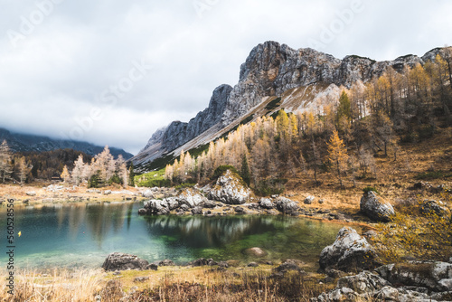 Fototapeta Naklejka Na Ścianę i Meble -  autumn in the mountains