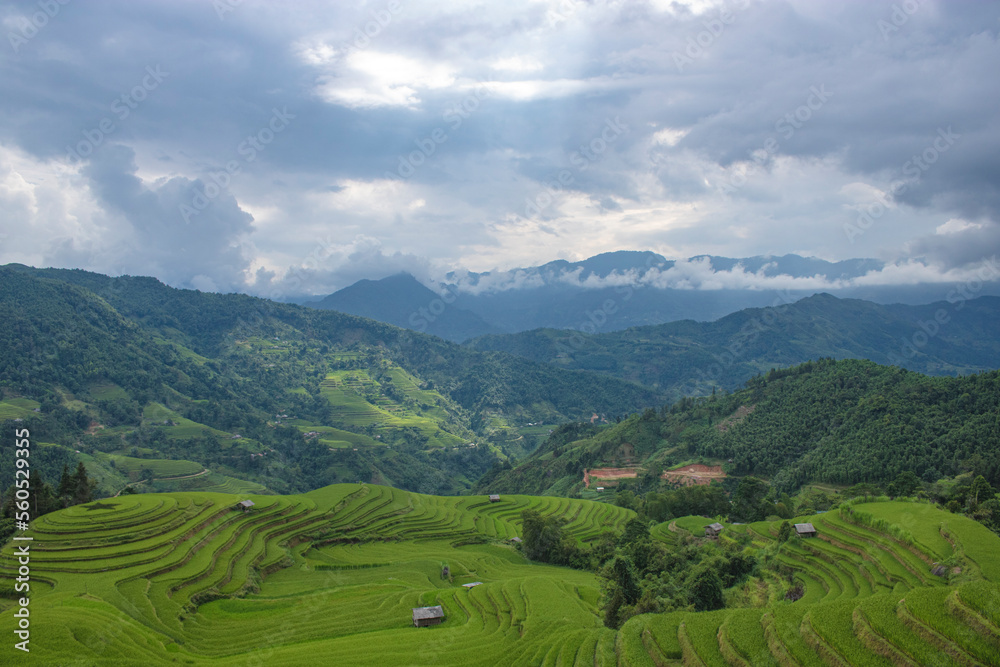Mountain scenery and terraced fields