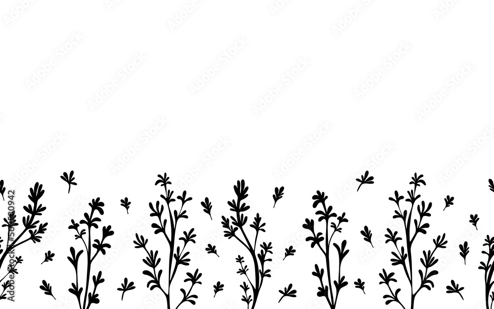 Thyme leaves seamless horizontal pattern. Food vector on white background. Thyme leaves seamless horizontal pattern. Food vector on white background.