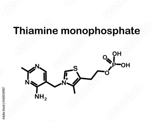 Chemical formula of thiamine monophosphate. Vector illustration