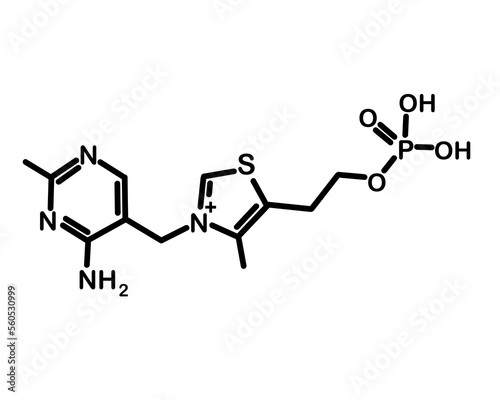 Chemical formula of thiamine monophosphate. Vector illustration