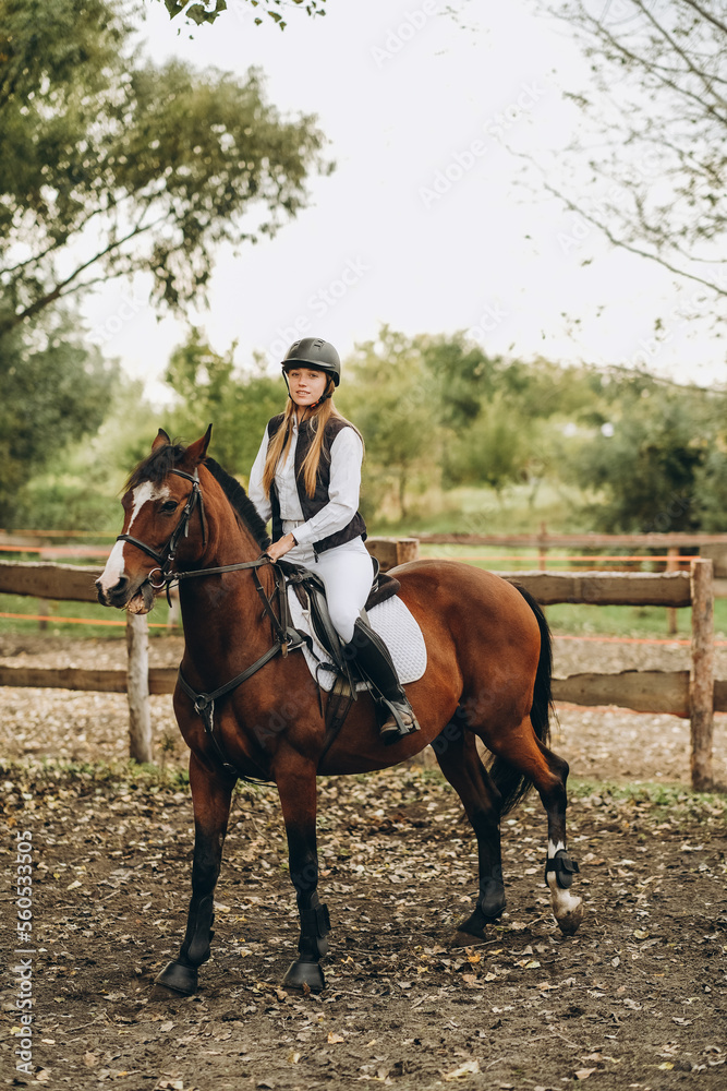 A young female jockey is sitting on her horse in show jumping training. Preparing for the competition. A young female jockey is sitting on her horse in show jumping training. Preparing for the competition.