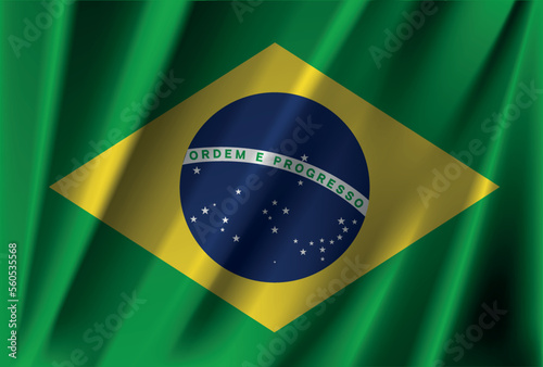 Official national brazil flag vector